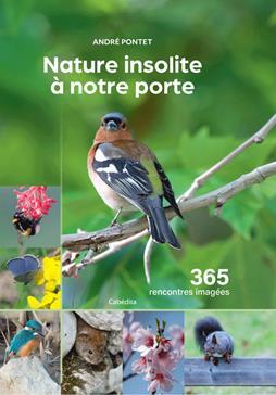 Couverture du livre Nature insolite à notre porte