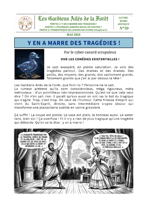couverture rapport Fellowship