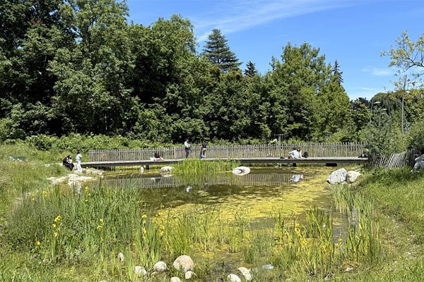 Que faire à Genève